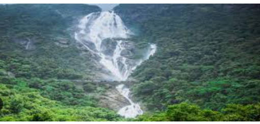 Dudhsagar Waterfall Trek 